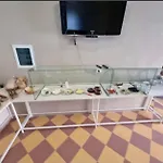Nino Hotel 3*